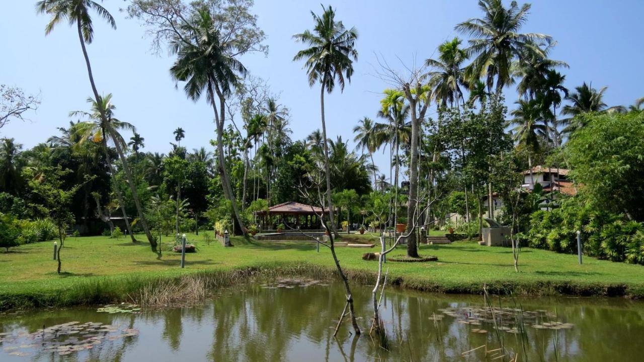 Avalon Village Resort Induruwa Zewnętrze zdjęcie