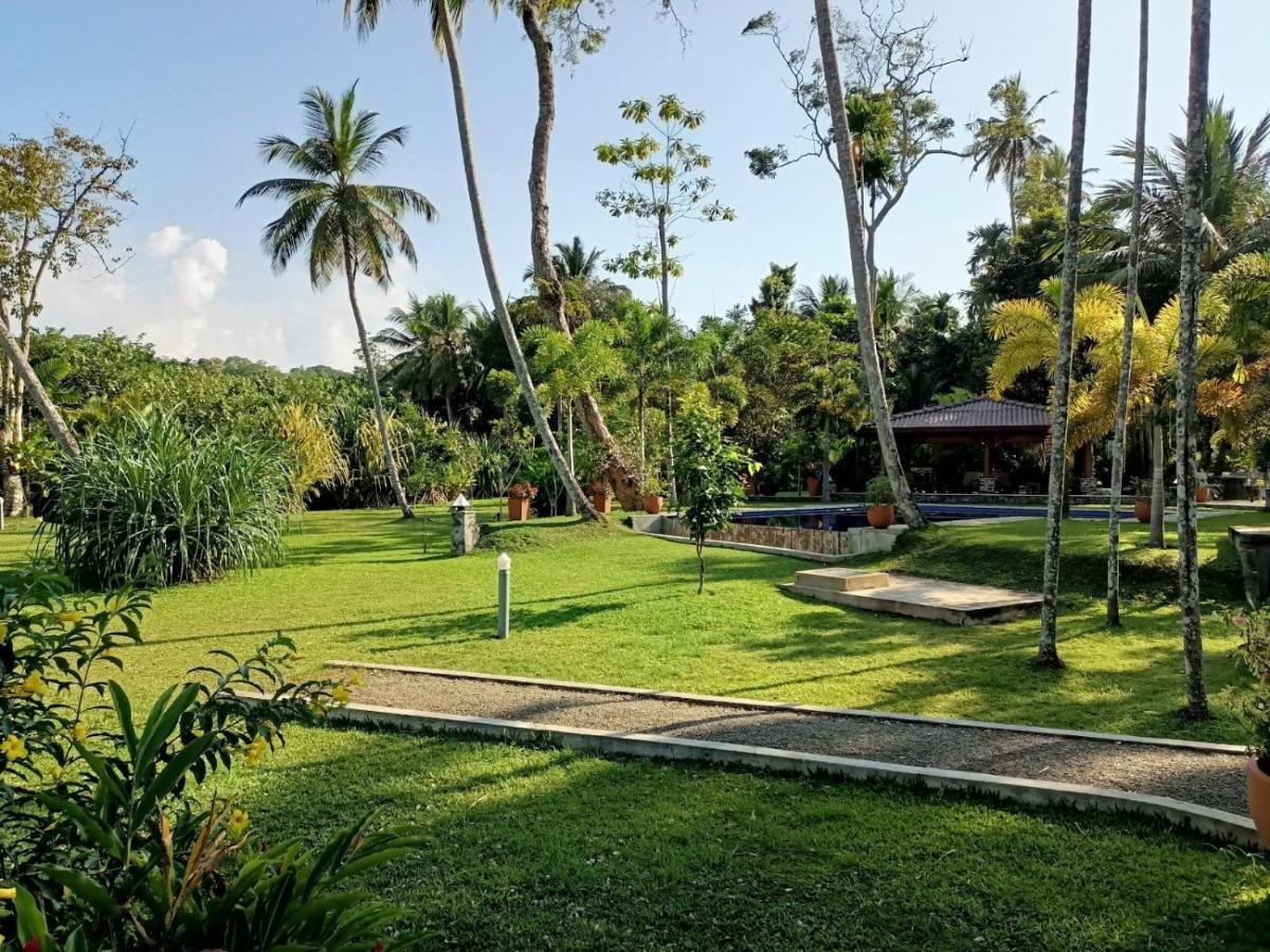 Avalon Village Resort Induruwa Zewnętrze zdjęcie