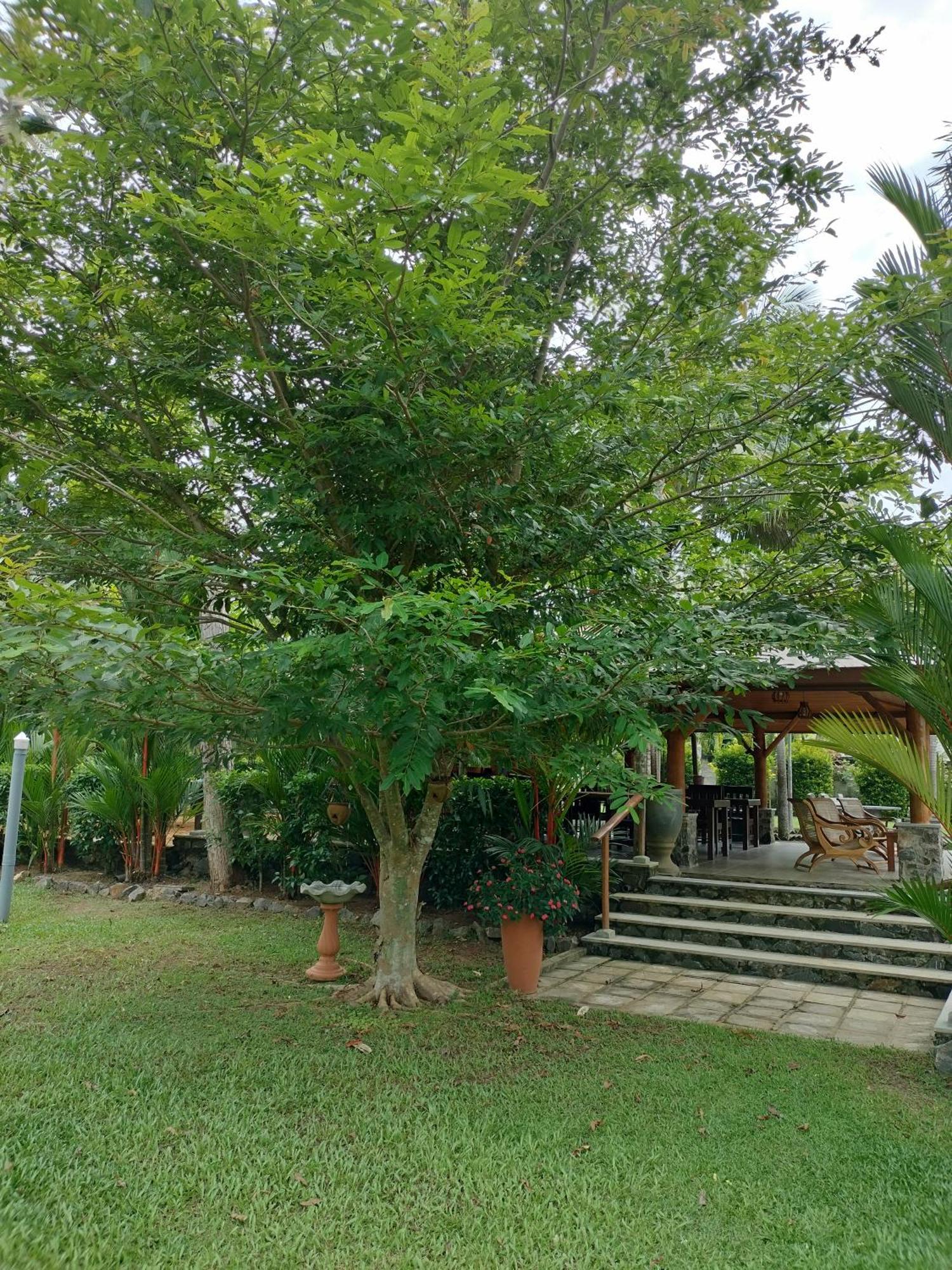Avalon Village Resort Induruwa Zewnętrze zdjęcie