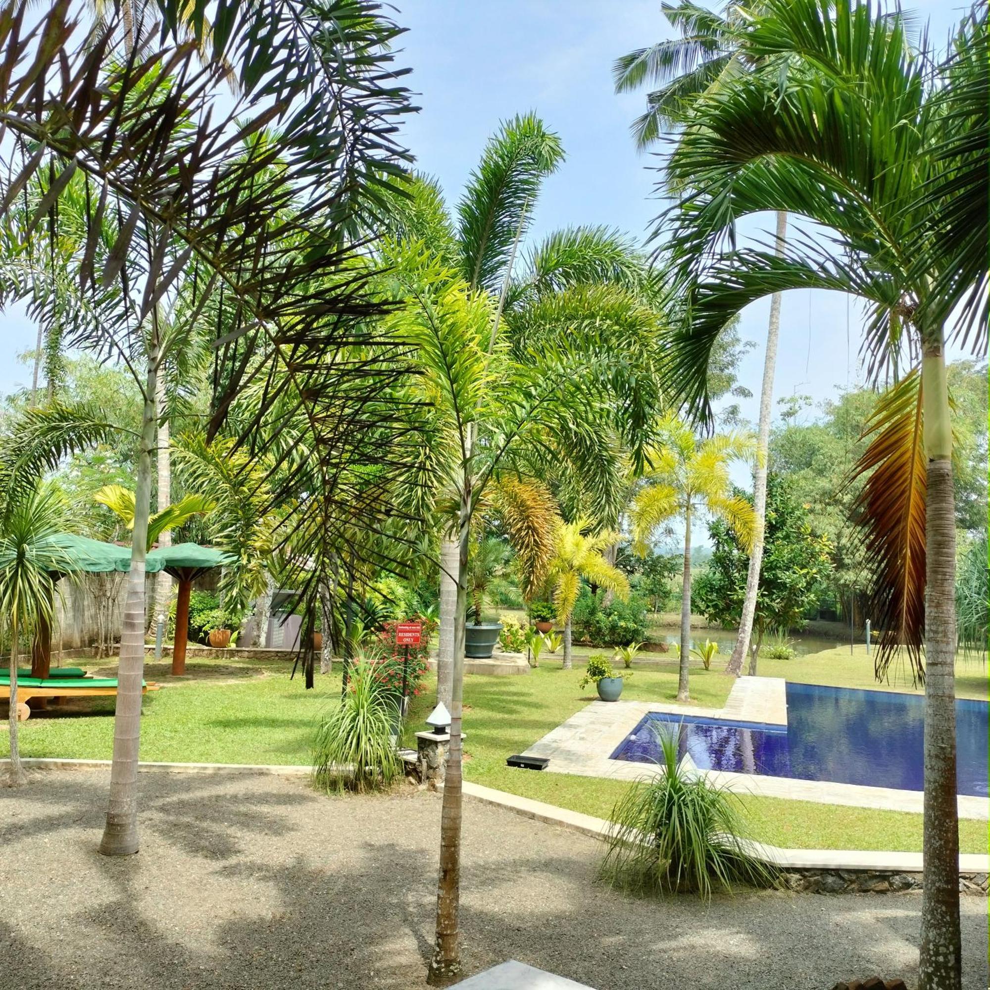 Avalon Village Resort Induruwa Zewnętrze zdjęcie